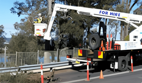 Sapphire Coast Tree Service