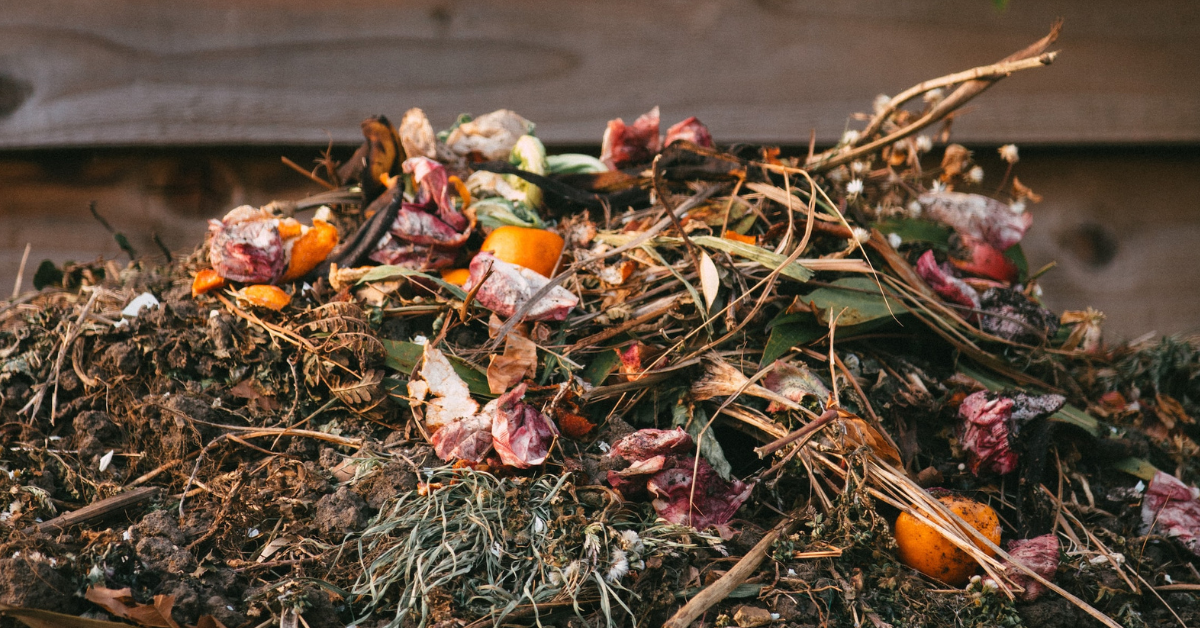 NSW EPA introducing new FOGO rules Power FM Bega Bay