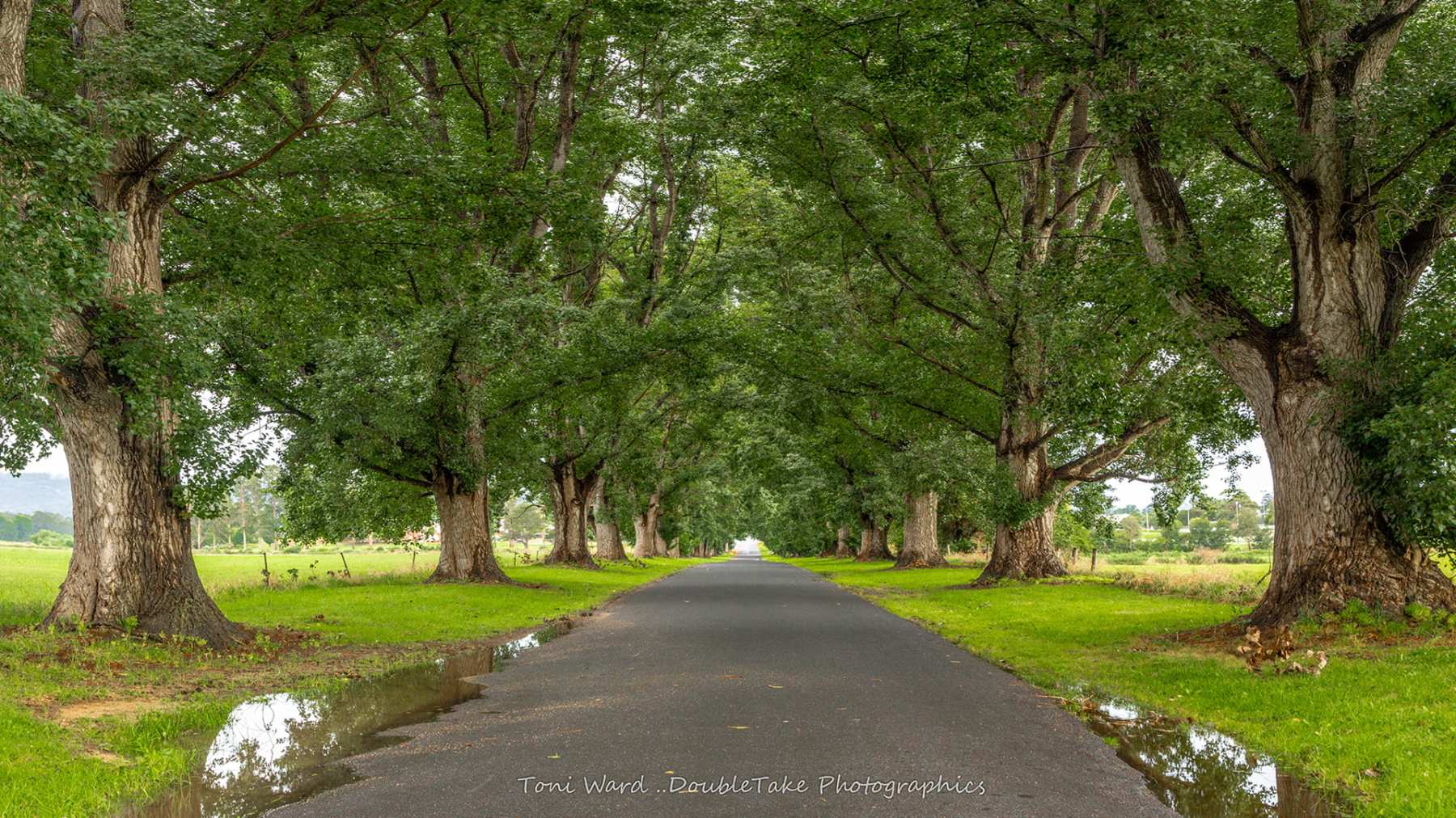 Bega Valley Realty