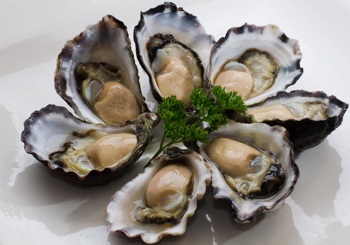 South Coast oyster farmers scoop awards at Sydney Royal Fine Food Show