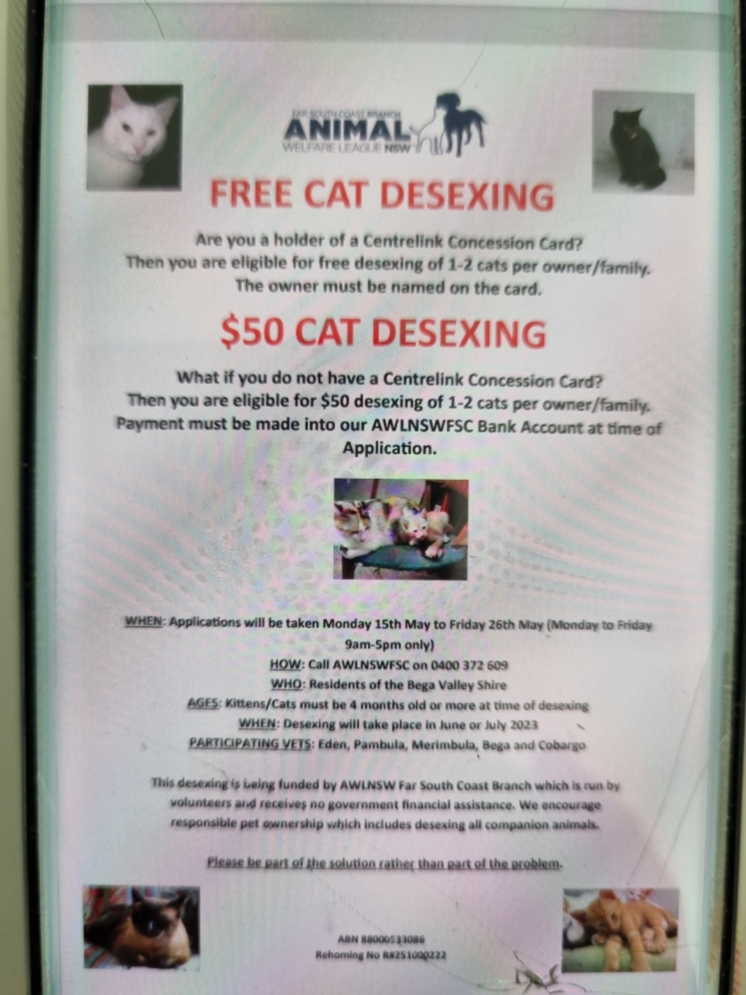 FREE/SUBSIDISED Cat Desexing Power FM Bega Bay