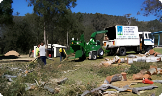 Sapphire Coast Tree Service & Tower Hire