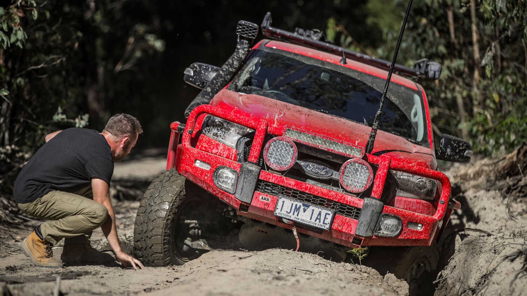 Specialised Automotive