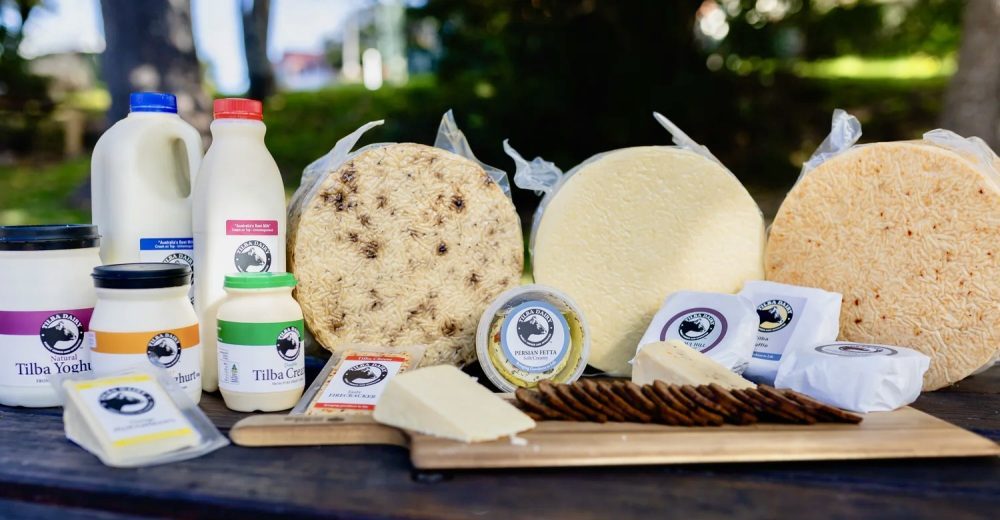 Big cash injection for Bega Valley dairy producer - Power FM Bega Bay